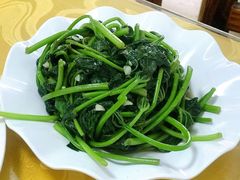 红薯叶-文昌鸡饭店110号(中山路店)