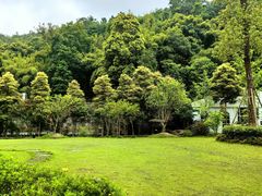 -夜不收荤豆花(大邑总店)
