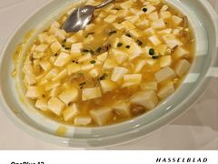 -松鹤楼(狮山永利广场店)