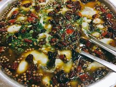 -陈有良尖椒鸡(渝中旗舰店)
