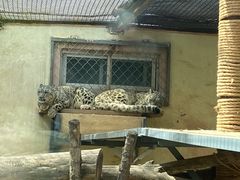 -青藏高原野生动物园