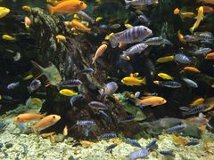 -太平洋海底世界