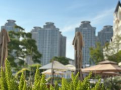 -JF Garden(渔人码头店)