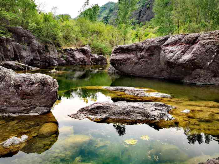 翠鸟谷-"各种涉水各种爬,蛮有挑战性的,怎么就成了."-大众点评移动版