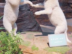 -陕西自然博物馆