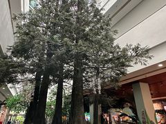 -中国湿地博物馆