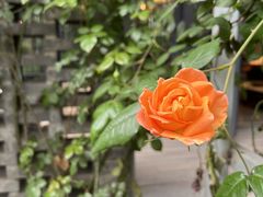 -大妙火锅·非物质文化遗产(东湖公园店)