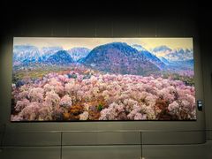 -罗红摄影艺术馆