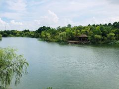 -上海怡沁园度假酒店