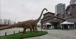 -恐龙探索乐园(磁器口店)