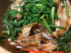啫啫鱼嘴-广东道至正餐厅(区庄店)