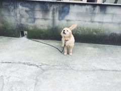 -会稽山峡洞漂流-上青古道