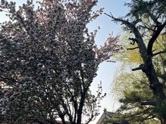 -北京市劳动人民文化宫(太庙)