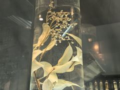 -广东中医药博物馆