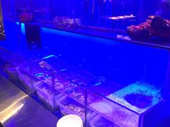 -宁波逸东豪生大酒店·豪生咖啡厅