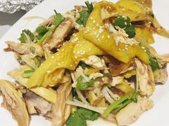 手撕盐焗鸡-宜宾海鲜酒家·三十年老字号