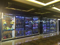 -UME影城(安贞DTS:X店)