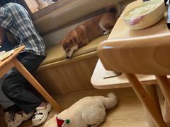 -柴の食堂·日式家庭料理·熊之肆(大学路店)
