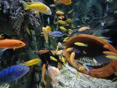 -太平洋海底世界