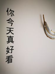 点击看大图 -YIMEI ART半永久纹眉·野生眉