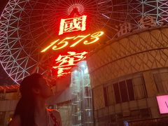 -星城之眼摩天轮