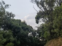 -广州市白云山风景名胜区