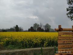 -中国天府农业博览园