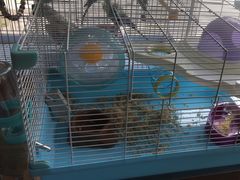 -宠爱我(南山店)