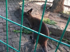 -武汉紫薇都市田园