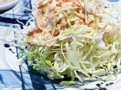 -山杏yama-katsu·吉列炸物