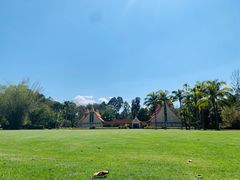 -中国科学院西双版纳热带植物园