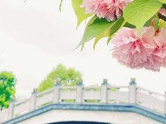 -常熟理文铂尔曼酒店