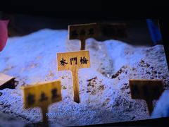 -星河寰宇IMAX影城(星河WORLD·COCO Park店)