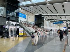 -朱利叶斯·尼雷尔国际机场