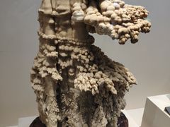 -安徽省地质博物馆