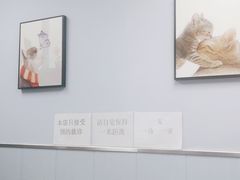 -纳吉亚猫专科动物诊疗中心(蒋宅口分院)