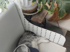 -小时光咖啡馆(北锣鼓巷店)