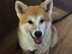 -YCHL Studios健身工作室(市二宫店)