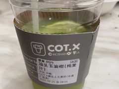 汕头玉油柑-茶月山·潮汕工夫茶饮(乐峰广场店)