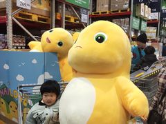 -山姆会员商店(杨桥西路店)
