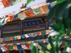 -大召无量寺