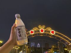 -武汉知音号