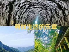 -西安祥峪森林公园