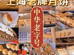 -沈大成(南京东路店)