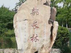 -北坞公园