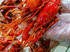 -巴犀烧烤(新崇光店)