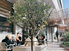-大小咖啡 BigSmallCoffee(麦子店)