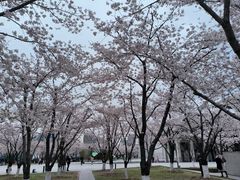 -龙美术馆(西岸馆)