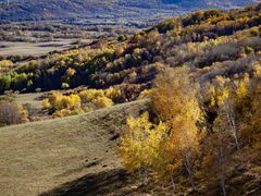 -塞罕坝国家级自然保护区