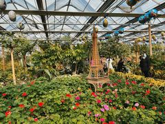 -南宫五洲植物乐园